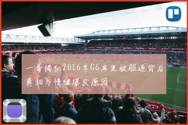 一哥揭秘2016年G6库里被驱逐背后真相与情绪爆发原因